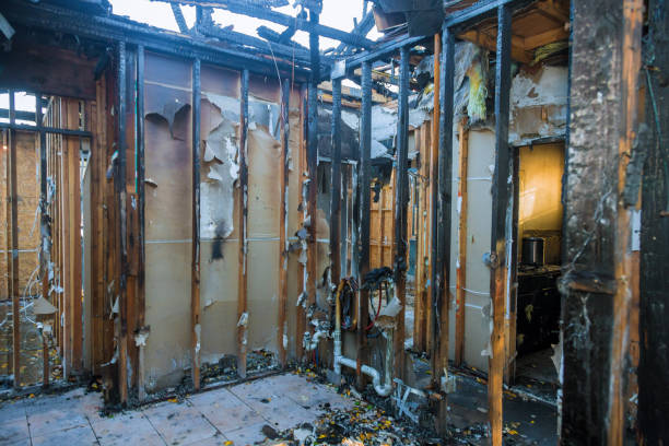 Professional Fire Damage Repair technician working in Somerville, TX