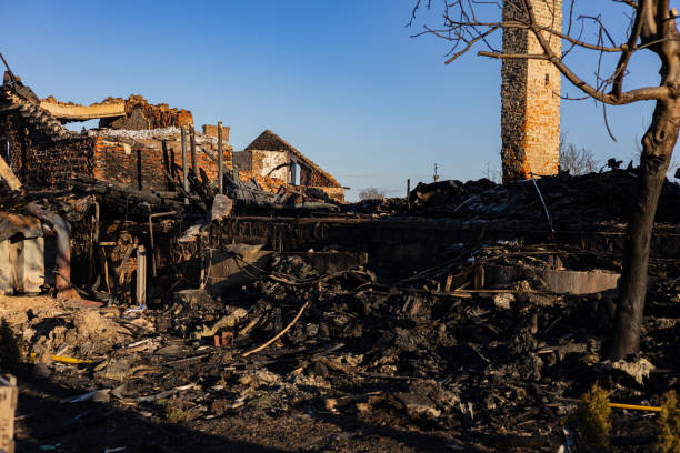 Reliable Fire Damage Repair contractor in Somerville, TX by Fire Damage Doption